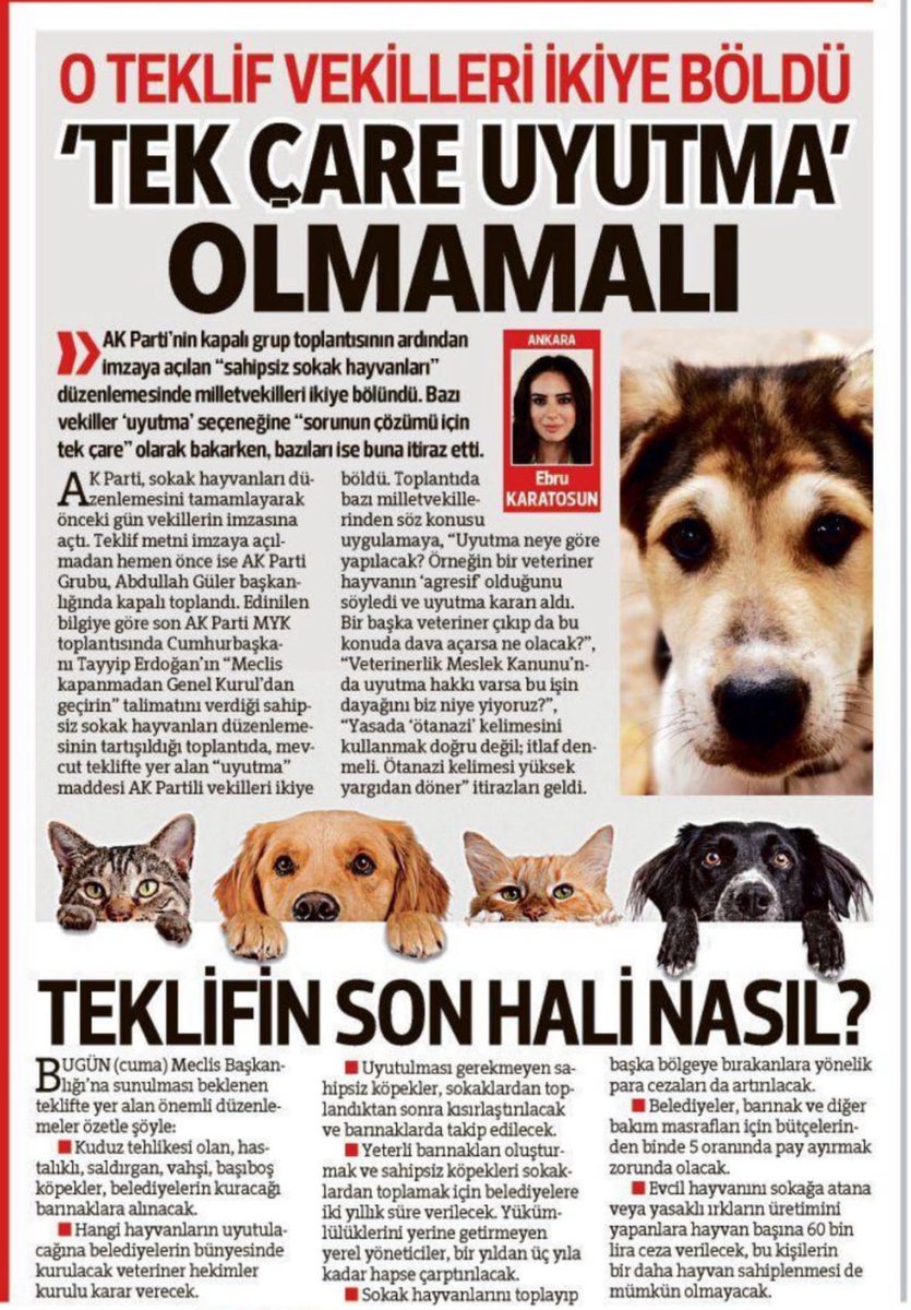 bengibaser's tweet photo. Almadığın önlemin bedelini hayvanlara mı ödeteceksin ey Devlet⁉️
Allah’ın yarattığını yok etme cüretini nereden buluyorsun⁉️
Öldüremezsin‼️
#devletöldürmezyaşatır 
#YasayiGeriÇek https://t.co/N066AJAReP