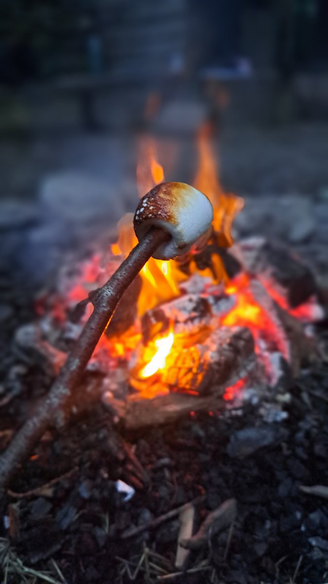 MrsEyles825's tweet photo. A campfire, toasted marshmallows and a quiz - what a way to spend a Saturday night!!

#jtfsenviro #jtfsscienceresidential @FieldStudiesC @jtfreeschool #alevelfieldwork https://t.co/UjUTWbcy26