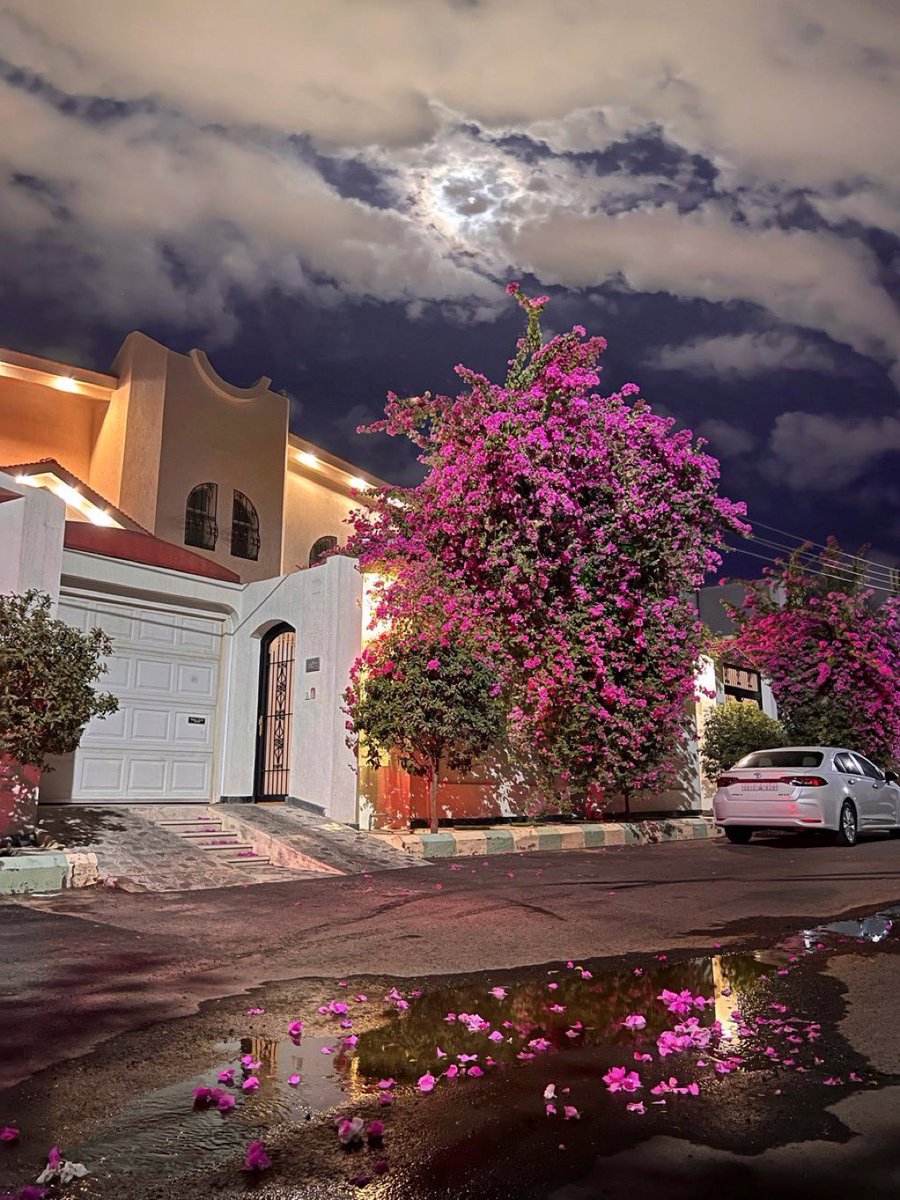 ما أرهم لغيرك أنه الك مرسوم 
خط بچف أديك شلون تمحيني