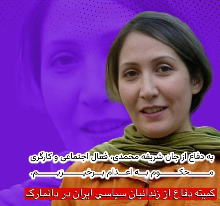 Alireza54791348's tweet image. #Freesharifeh