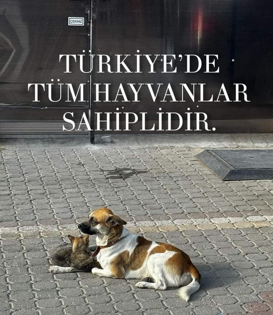 #YasayiGeriÇek