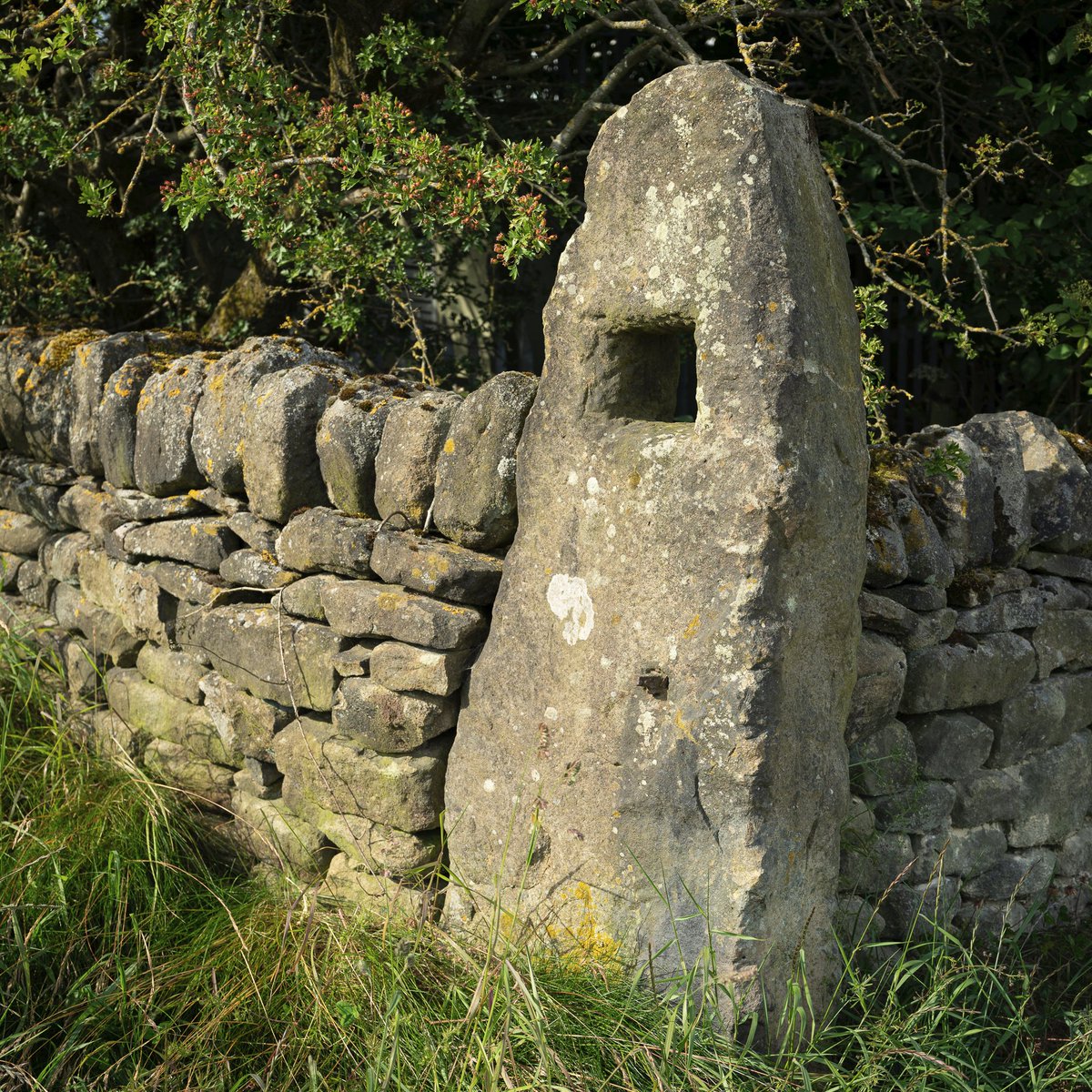 Hartcliff 2 #photography #landscape #Thurlstone #Langsett #Penistone #Yorkshire #Penistone #PeakDistrict #7km #Flâneur #psychogeography #DarkFairytale #RuralMarginalia #SonyFE1635PZf4