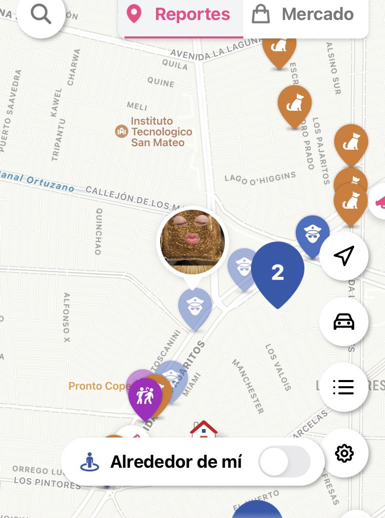 GatitosChilenos (@gatitoschilenos) on Twitter photo Por favor <a href="/TomasVodanovic/">Tomás Vodanovic</a> estamos hace 40 minutos reportando vandalismo en pajaritos desde paradero 10 al 8, incluye las parcelas y hugo bravo!! <a href="/maipuciudadano/">@Maipuciudadano</a> <a href="/Muni_Maipu/">Municipalidad de Maipú</a> <a href="/radiocarab/">Carabineros Radio</a> <a href="/Carabdechile/">Carabineros de Chile</a> <a href="/solomaipucinos/">Solo Maipucinos</a> Por favor <a href="/TomasVodanovic/">Tomás Vodanovic</a> estamos hace 40 minutos reportando vandalismo en pajaritos desde paradero 10 al 8, incluye las parcelas y hugo bravo!! <a href="/maipuciudadano/">@Maipuciudadano</a> <a href="/Muni_Maipu/">Municipalidad de Maipú</a> <a href="/radiocarab/">Carabineros Radio</a> <a href="/Carabdechile/">Carabineros de Chile</a> <a href="/solomaipucinos/">Solo Maipucinos</a>