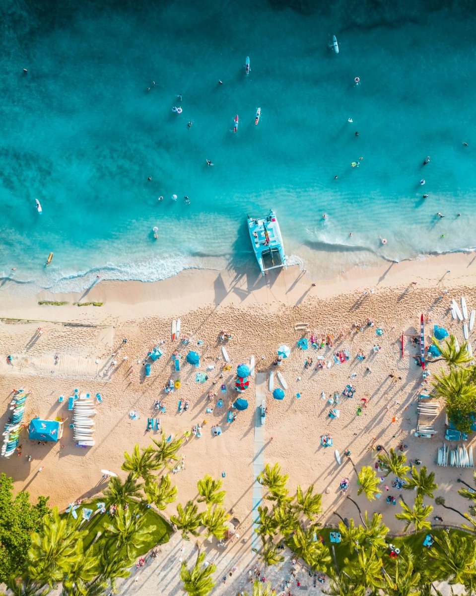 WaikikiBeachWlk's tweet photo. Thereβs no place like Hawaii! Whether you're strolling along the vibrant streets, browsing the eclectic shops, or enjoying a delicious meal at #WaikikiBeachWalk, there's something magical about spending the day in #Waikiki β¨π #WaikikiLove #IslandVibes #AlohaSaturday https://t.co/Y7Jer3NCQ3