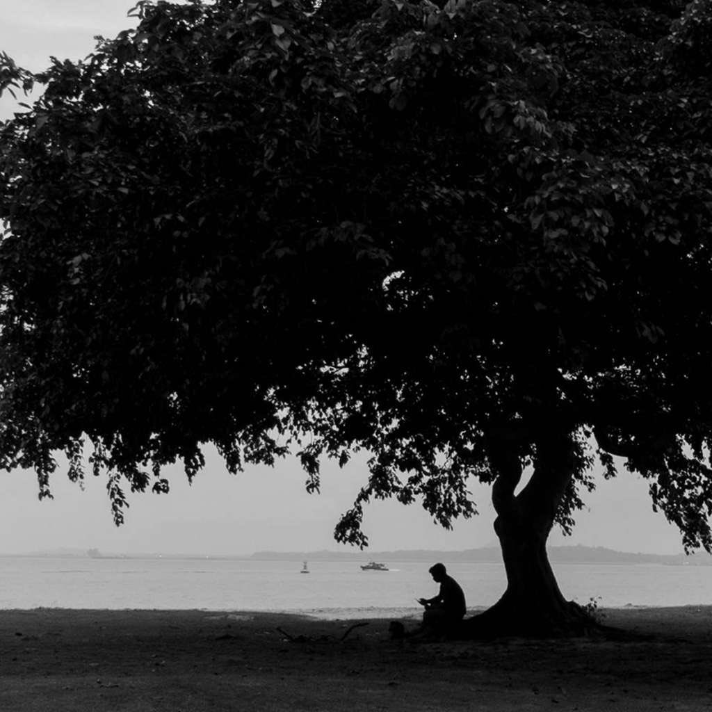 🌸🍃

كن گ الشجرة يستظل بفيئها  حين يتكئ عليها عابر فليس كل مثمر مأكول الثمر . 

┄┉❈❥❀(«🌹»)❀❥❈┉┄