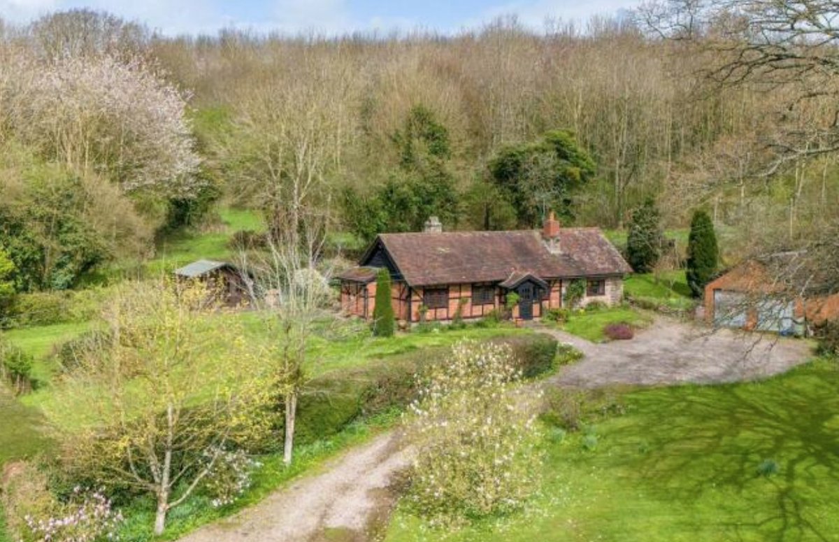 Tagishsimon tweet media