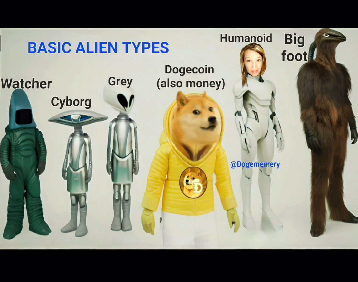 DogeMemery's tweet photo. @ElonMusksxAI @cb_doge #doonlygoodevery https://t.co/s0u1lsZIXh