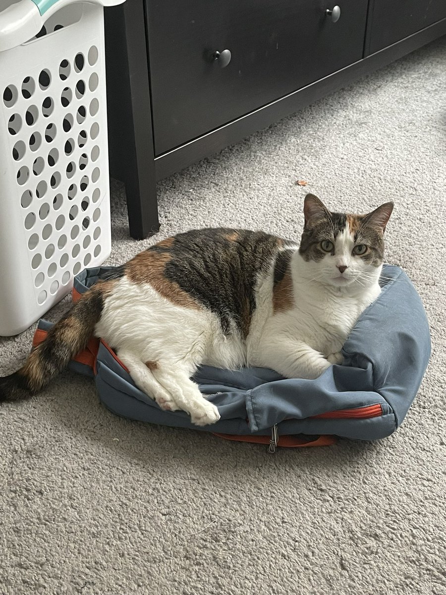 “take me with you”