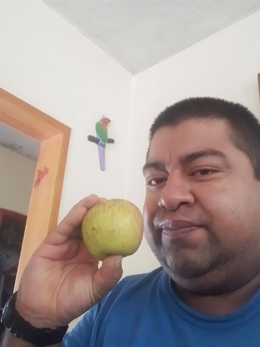 blackdaniels721's tweet photo. "No tengas miedo de ir lento, ten miedo de quedarte quieto".
Proverbio Chino
#felizsabado #cadamanzanacuentaunahistoria  #delisana #SelfieSaturday #selfie #delicious #apple #eatapples #myself #like #me #photooftheday #mifraseparati #quotes 🍏🍏🍏🍏 https://t.co/Mp9UahDGTv