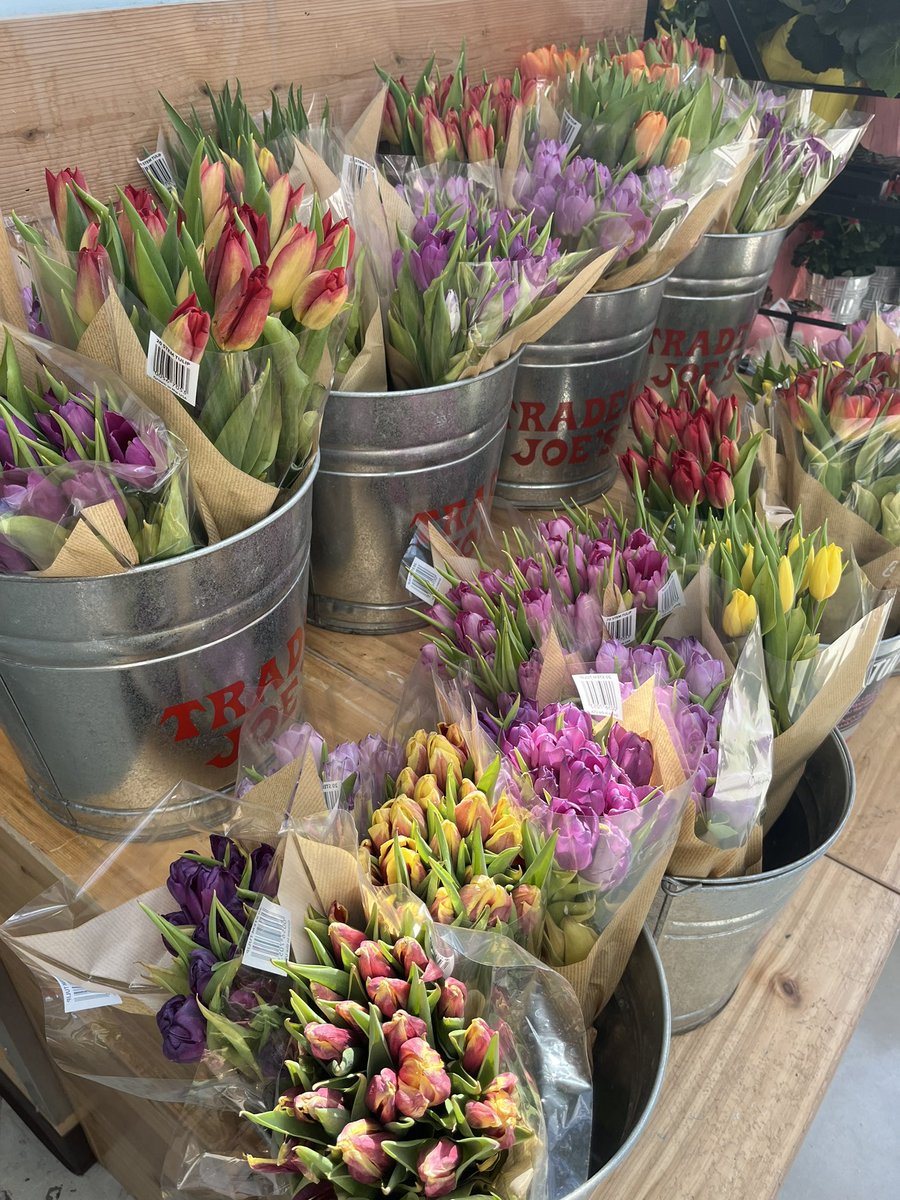 Favorite place 🩵💐