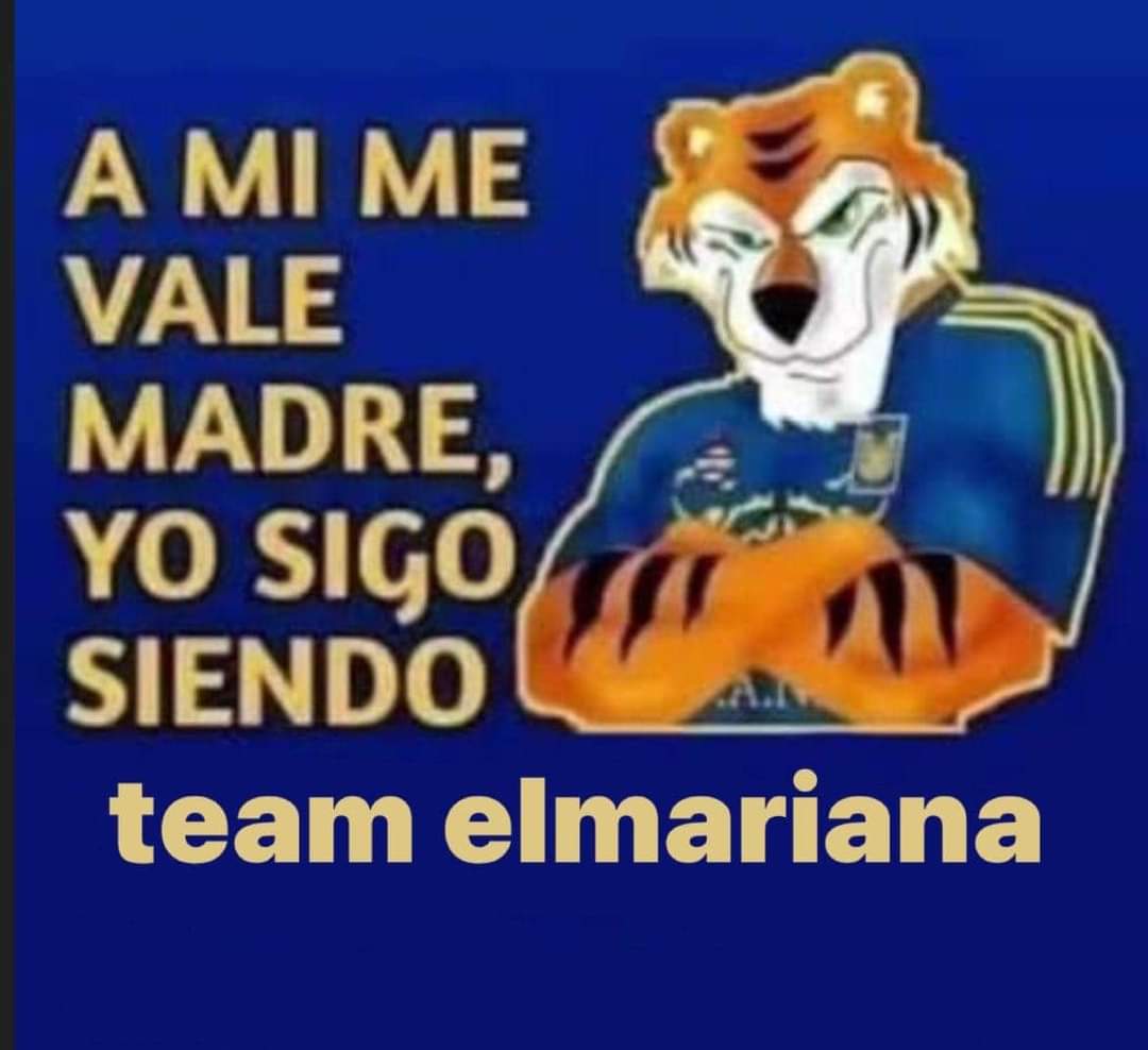 aleramos30's tweet photo. Ánimo patrón @elmarianaa se la rifo y siempre estaremos apoyándolo 🫶🏻 https://t.co/HBc0aGcWv1