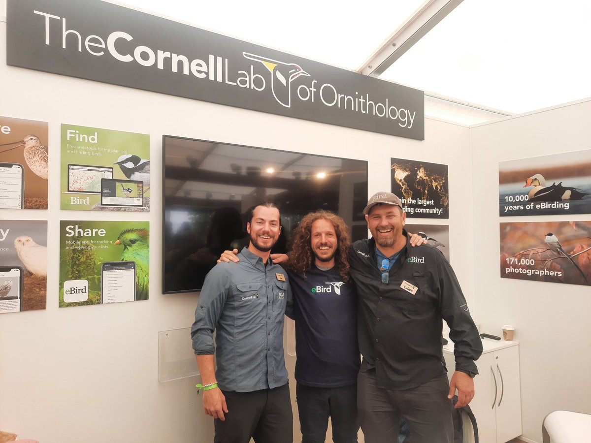 Boris Belchev tweet media