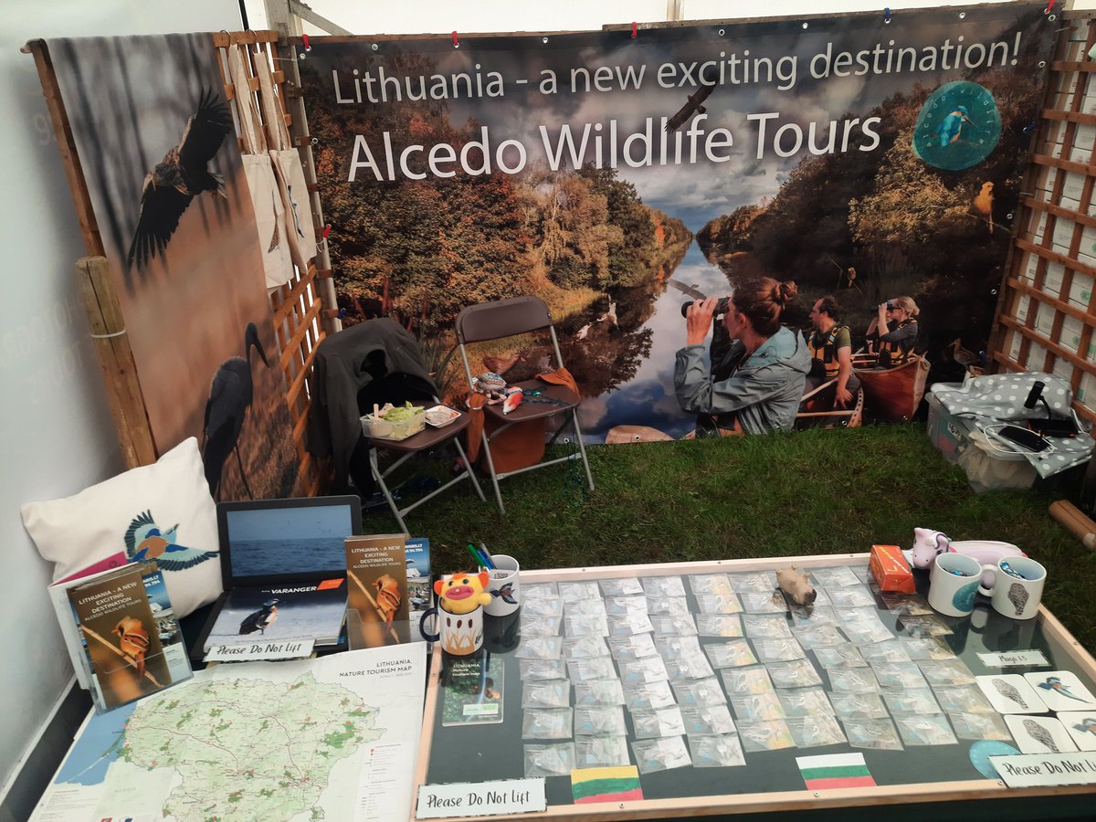 Boris Belchev tweet media