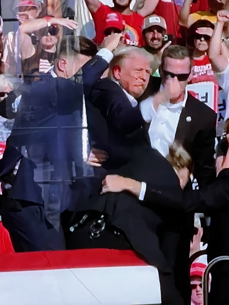 DONALD TRUMP WAS JUST SHOT AT A CAMPAIGN RALLY 

WTF IS HAPPENING TO AMERICA ???