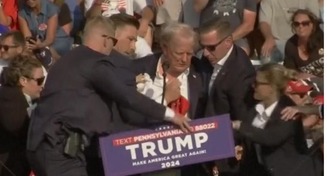 Cara Castronuova tweet media