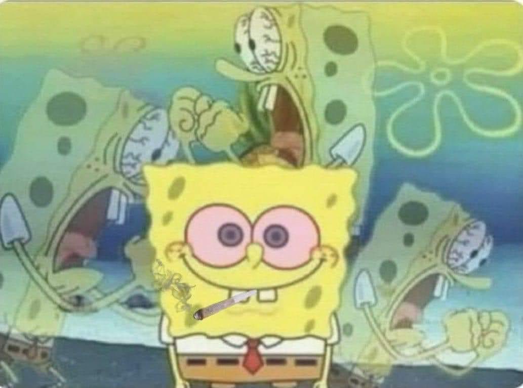 Yo bien paniqueado pero controlado