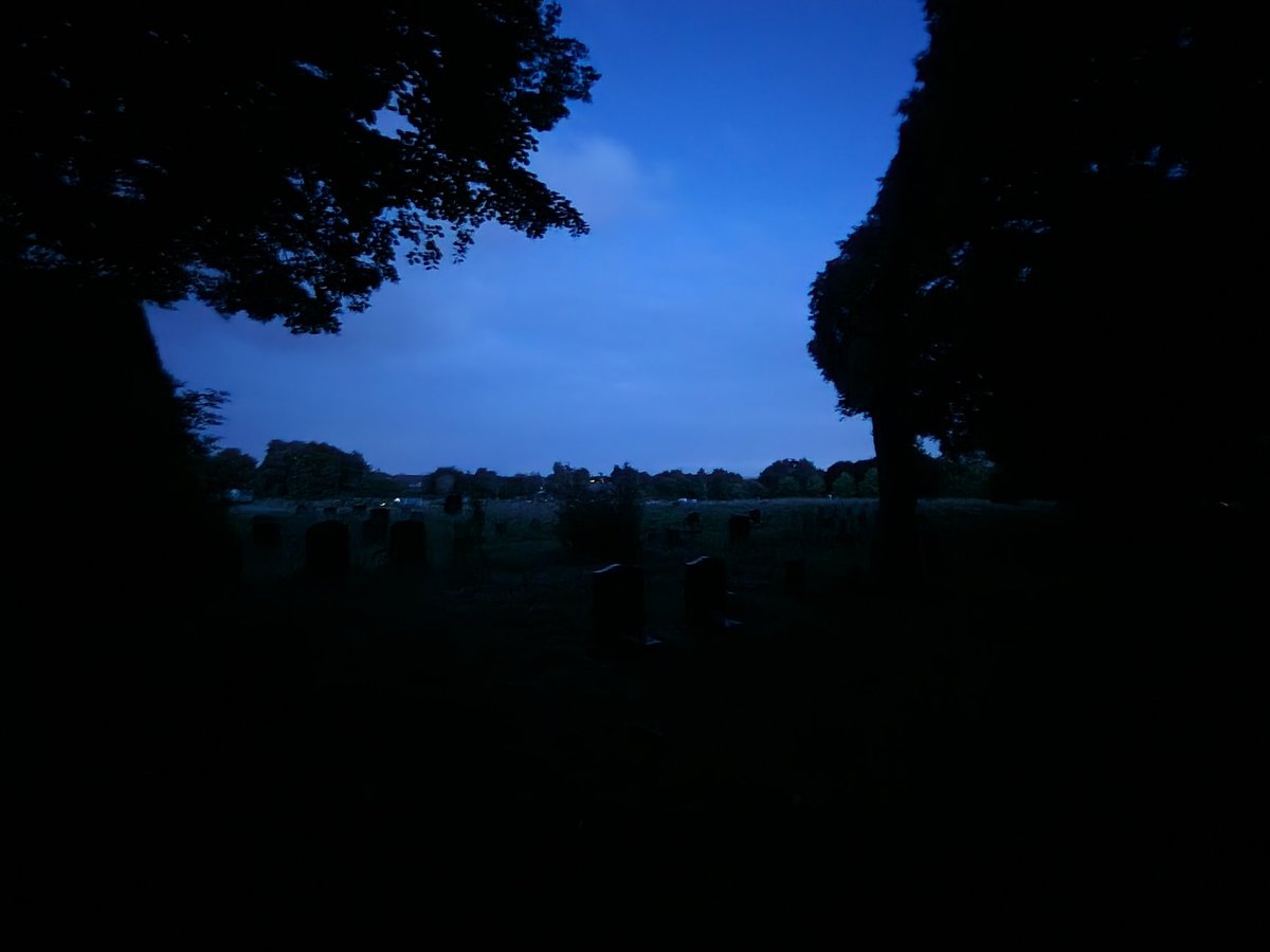 Top evening walk at Notts Rd Cemetery tonight. Noisy Green Woodpeckers, screaming Swifts &amp; a brief Hobby before sunset with great views of Noctule, Leislers and Common Pips after dark (with a calling Tawny). Big thanks to Alan from <a href="/derbyshirebats/">Derbyshire Bat Group</a> for helping out <a href="/DerbysWildlife/">Derbyshire Wildlife Trust</a>