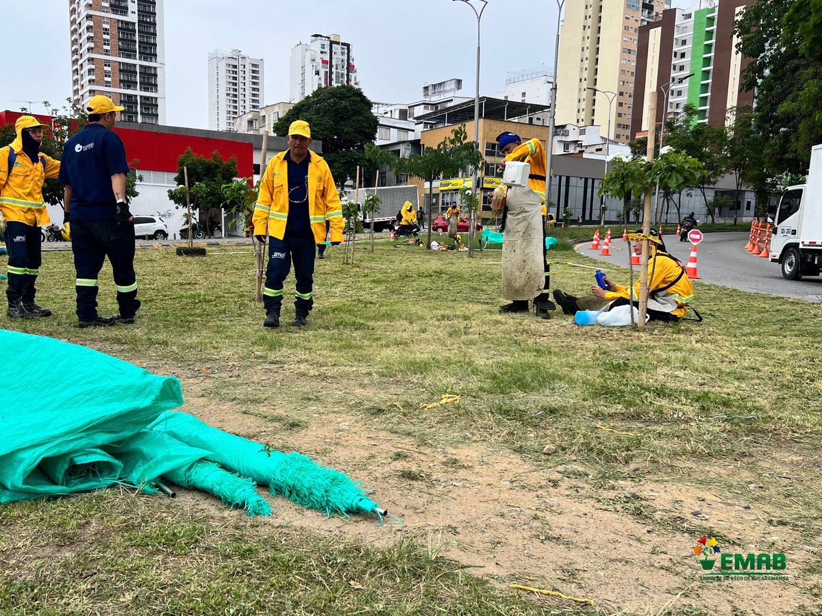 EmabEsp's tweet photo. 🟢#ComprometidosConBGA: ¡Así dejamos la glorieta del Mesón de los búcaros! 

👷🏼‍♂️Nuestra #FuerzaAmarilla realizó macaneo y limpieza en este importante corredor vial de la ciudad 

💛💚 La belleza de #BucaramangaBonita, en manos de bumangueses! #Emab https://t.co/ChRVRplJl7