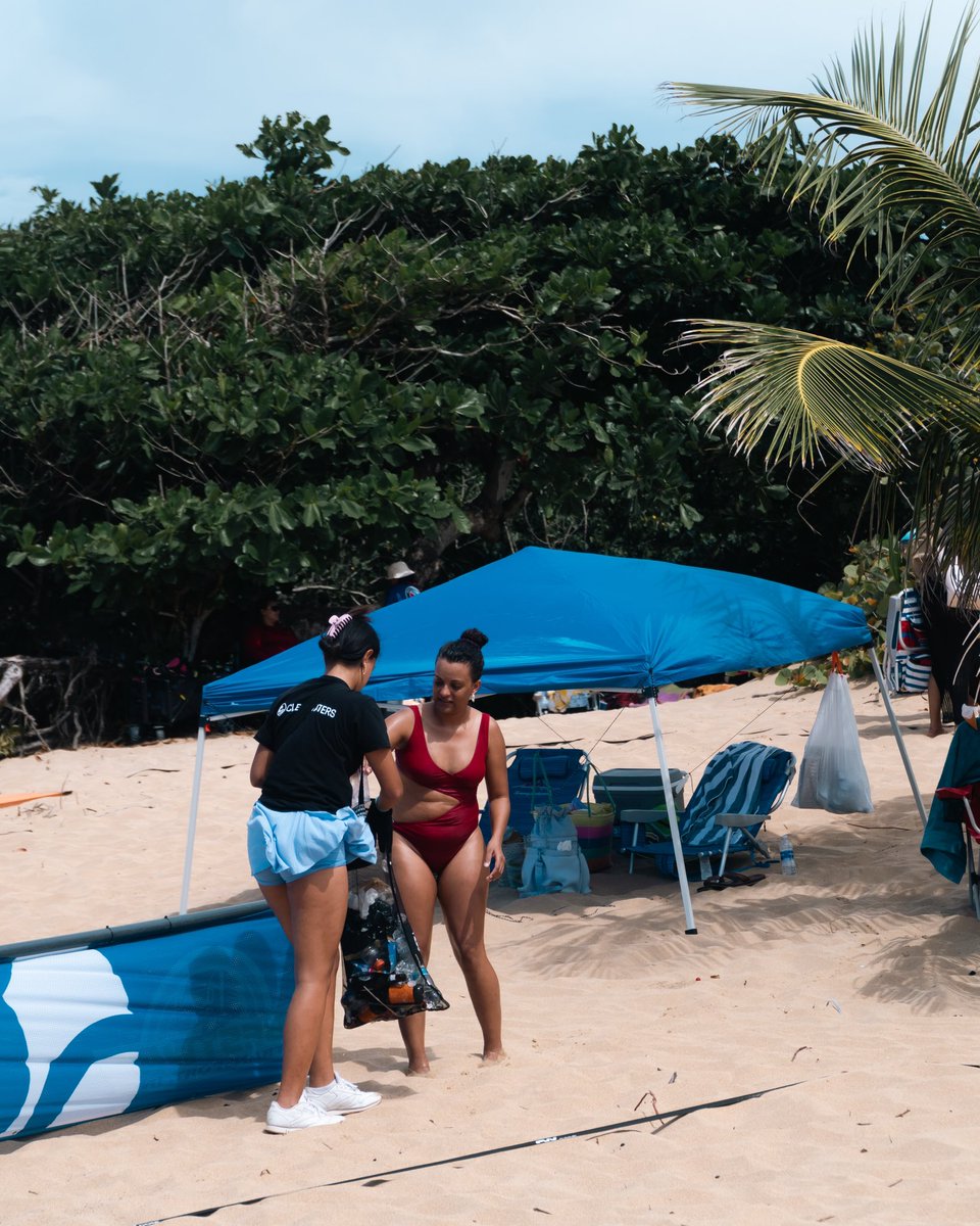 clearwaters_pr's tweet photo. Más fotos de nuestra más reciente limpieza de costa. 🌊🌴

Pronto anunciamos lo próximo. 👀 https://t.co/FecRJuOn4I