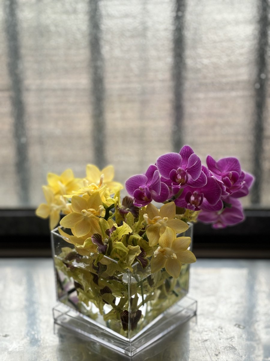 TmnrGt's tweet photo. 楽しませて貰った花達も今日で最期💐 https://t.co/Awa2kTeAWv