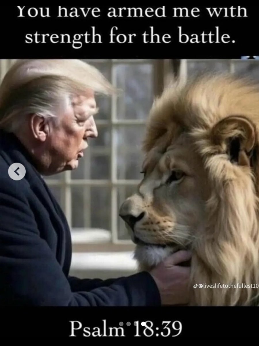 ShowponyCowgirl's tweet photo. #PrayForTrump 🇺🇸🙏🏻❤🇺🇸🙏🏻❤
#NeverSurrender ⚔⚔🛡🛡
#MyPOTUS 🙏🏻🇺🇸
#GodBlessTrump 🙏🏻🇺🇸 https://t.co/wLlcvYUUSb