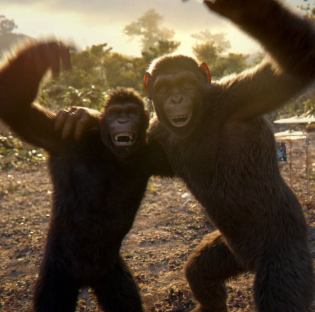 warmjoy1's tweet photo. Donald Trump, Jeffery Epstein, The Island, Steven Hawking? What are you talking about we have to go bang sticks together in Cincinnati Zoo! https://t.co/8Y35u4TRWr