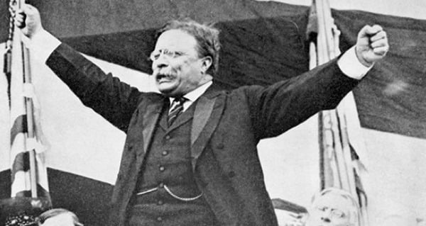 "It Takes More Than That To Kill A Bull Moose."