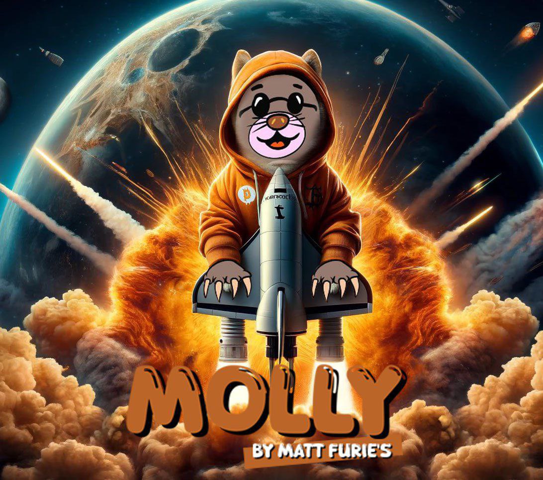 mollycoinerc20's tweet image. $MOLLY ready to take off . ‼️‼️‼️🚨🚨🚨