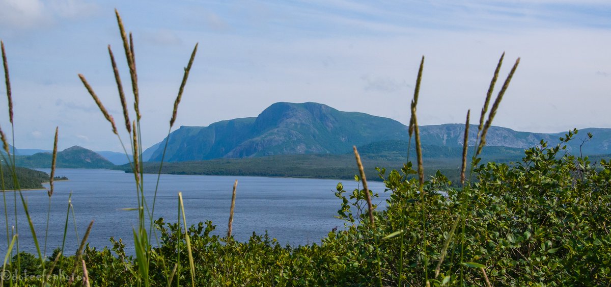 DonnieOK's tweet photo. Who knew we had an Elephant in #Newfoundland #explorenl #TroutRiver #ElephantHead @ParksCanadaNL @ParksCanada what an amazing place we call home.  Get out there and enjoy it. https://t.co/HmQZU8gPtM