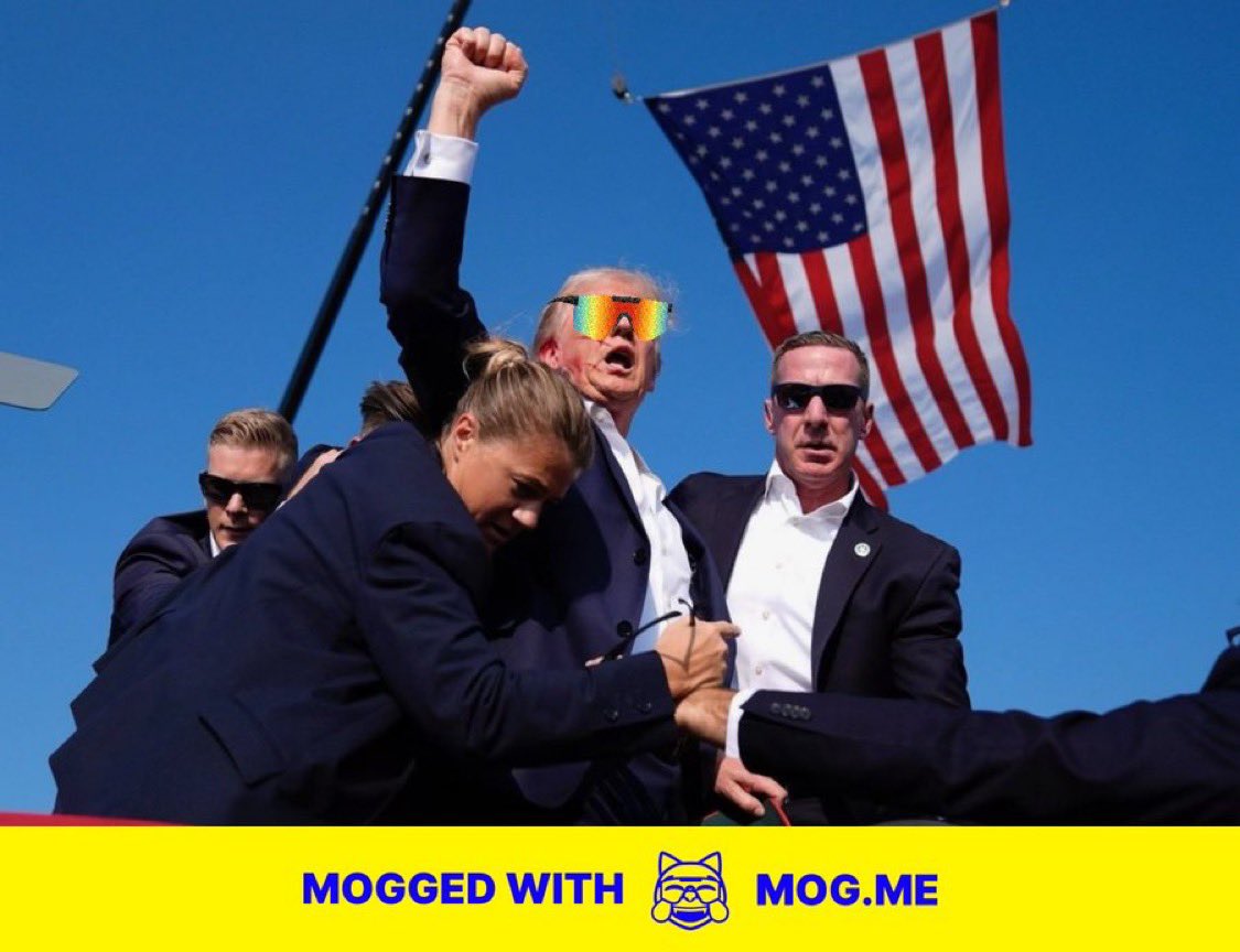 MOG COIN tweet media