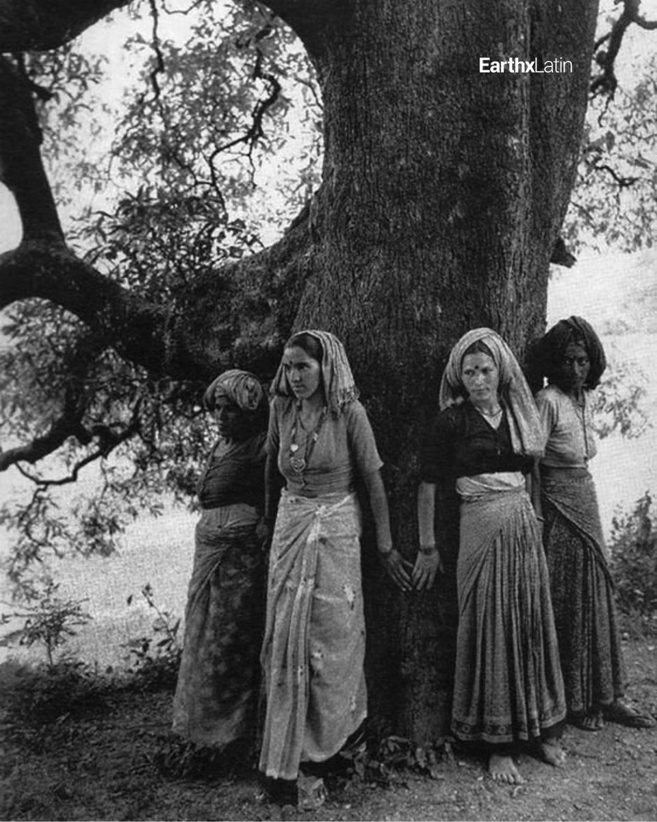 El Movimiento Chipko comenzó en la década de 1920 como una protesta no violenta contra la deforestación del Himalaya. 🌲✨

Fotos: Abrazadores de Árboles del Movimiento Chipko en el Himalaya, Pamela Singh