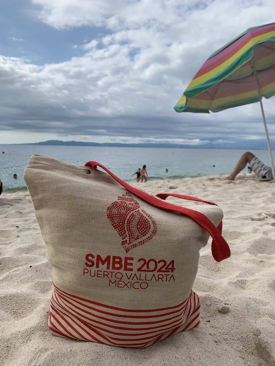 VVillaIslas's tweet image. What a lovely week attending #SMBE2024, with great scientists, talks, and posters. This is my first time with many of my colleagues in the same meeting ❤️. Thanks to the LOC for bringing SMBE to 🇲🇽