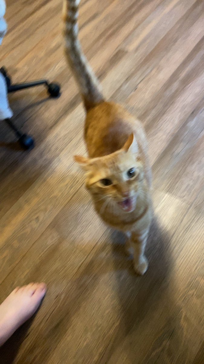 when the song i have on repeat is only two and a half minutes long