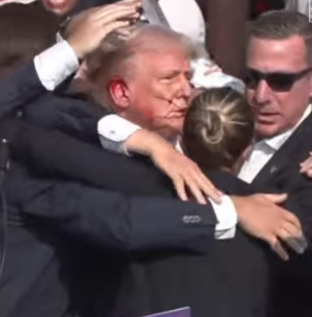 Brian Krassenstein tweet media