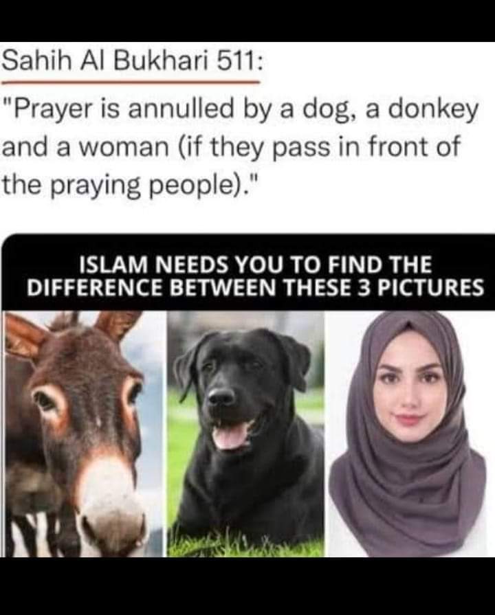 AjeefMuhammad's tweet photo. https://t.co/V0iWhDydW3