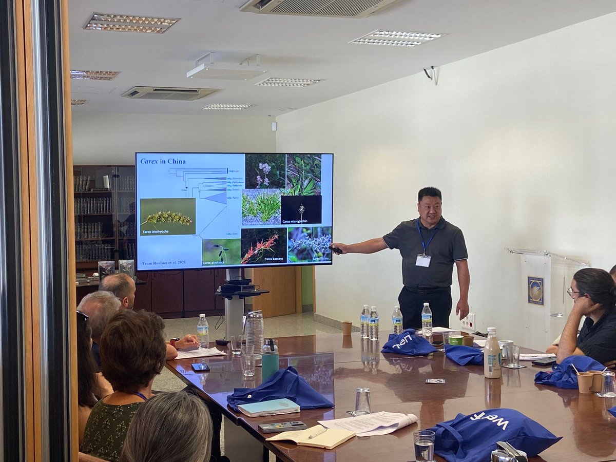 pjimmej's tweet image. Yesterday we finished our Carex International Meeting in Seville at @pablodeolavide. &amp;gt;30 researchers from all the continents joined in a 2-days sedge botanical celebration in the beautiful setting of our town. It's been great having all you here! See you all at #ibc2024!