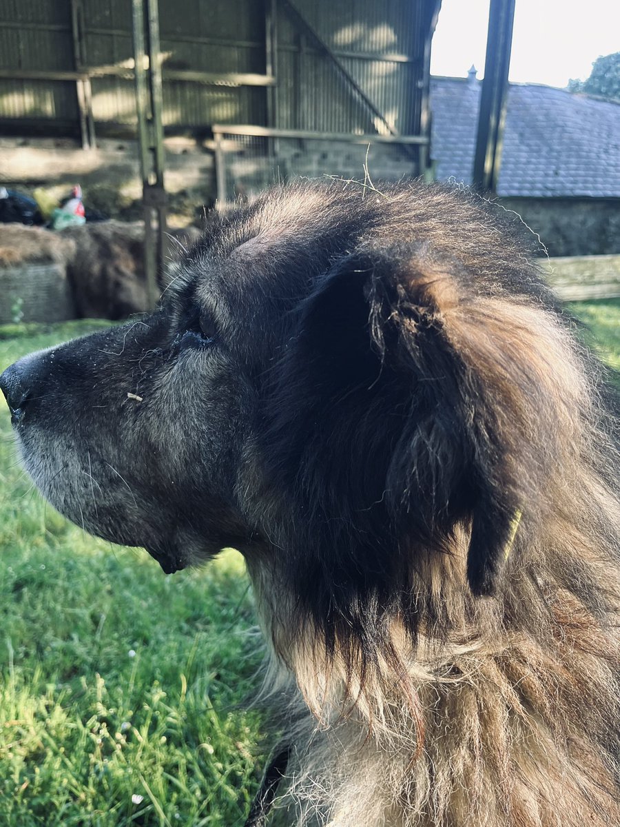 Adrian Tilsed tweet media