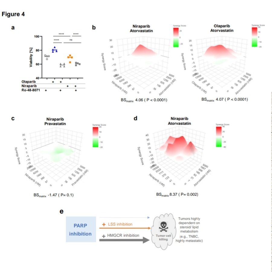 nataliagandur's tweet image. 💫🌟🔬📊 Key Findings from the Study on Synergistic Effects of #PARP Inhibition and Cholesterol Biosynthesis Pathway Modulation: 
@AACR @OncoAlert
🔷️ Niraparib's Unique Interaction: 

🔹️🧬 Distinct Target: Niraparib binds to lanosterol synthase (LSS), not seen with other PARP