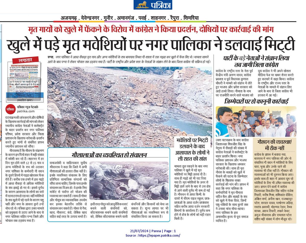 skmishra3's tweet photo. मृत गायों व अन्य मवेशियों के शवों को खुले में फेकने के मामले में जब राष्ट्रीय और राज्य स्तर के नेताओं ने संज्ञान लिया तब जिले के कांग्रेस नेताओं की नींद टूटी। गौ माता के नाम पर संगठनों को चलाने वाले और राजनीतिक रोटियां सेंकने वाले अभी भी मामले में मौन हैं। https://t.co/TDIlNYvBOP