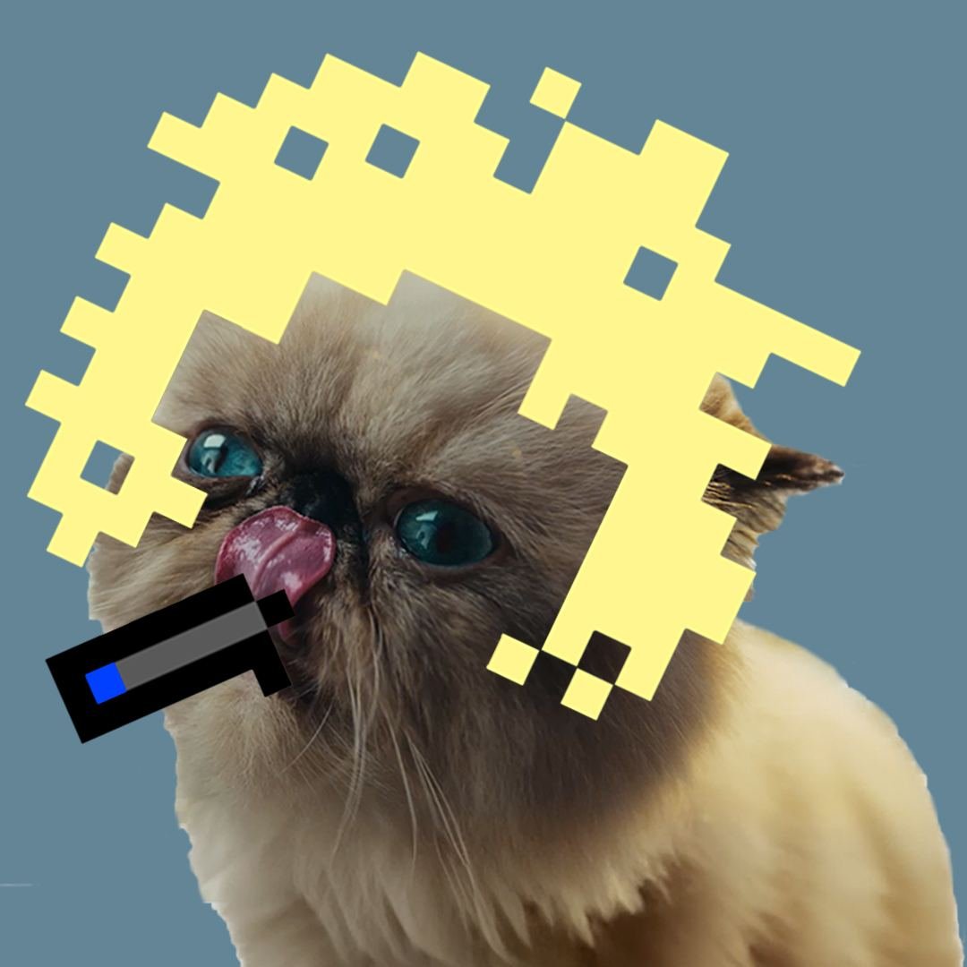 #MisterMiggles is on a quest to find the pot of gold at the end of every rainbow!