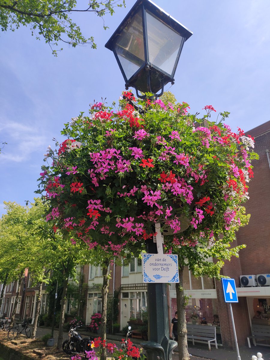 SwatiSarangi10's tweet photo. Went to Delft Guitar shop yesterday to buy an Ukulele, only to order one from Amazon! 😄 There were limited options of Concert Ukulele which were in my budget.
Nevertheless, found these beautiful scenes on the way! Couldn't resist myself to capture.
#nature #DutchSummer https://t.co/ggYItORQKb