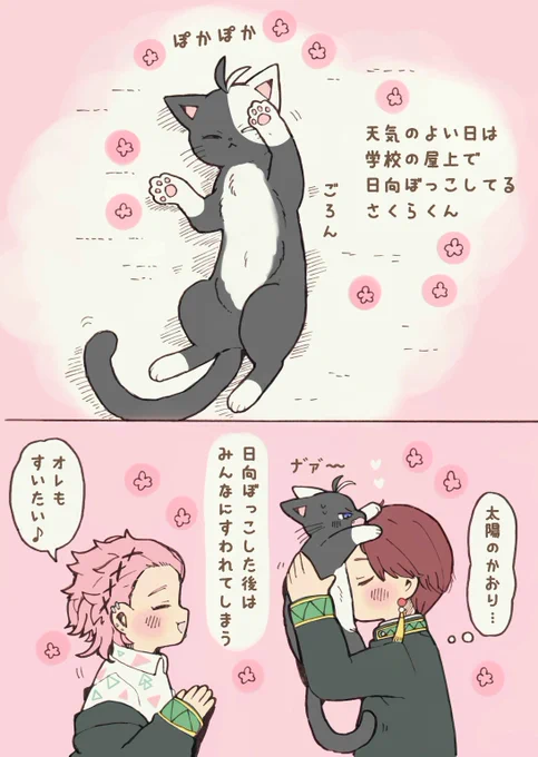 ほかほかふわふわの
おなかを吸われる🌸にゃん
※擬獣化
※獣化注意 