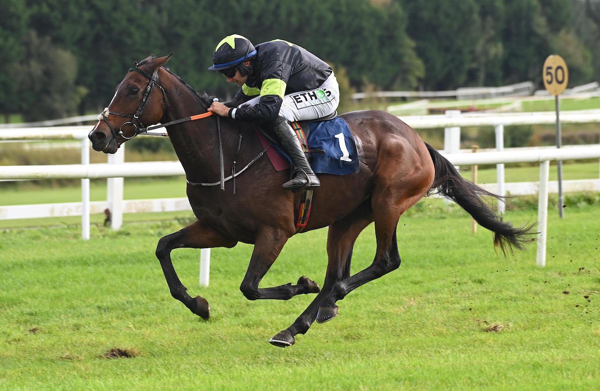 Tattersalls Ireland tweet media
