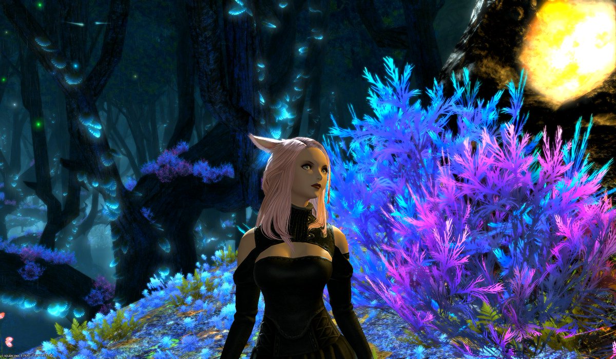 PoisonCave's tweet photo. I really love the environment 🥰

#FFXIV #FinalFantasyXIV #miqote #gpose #photomode #ingamephotography #dawntrail #phoenix https://t.co/yXSyjAJdUi