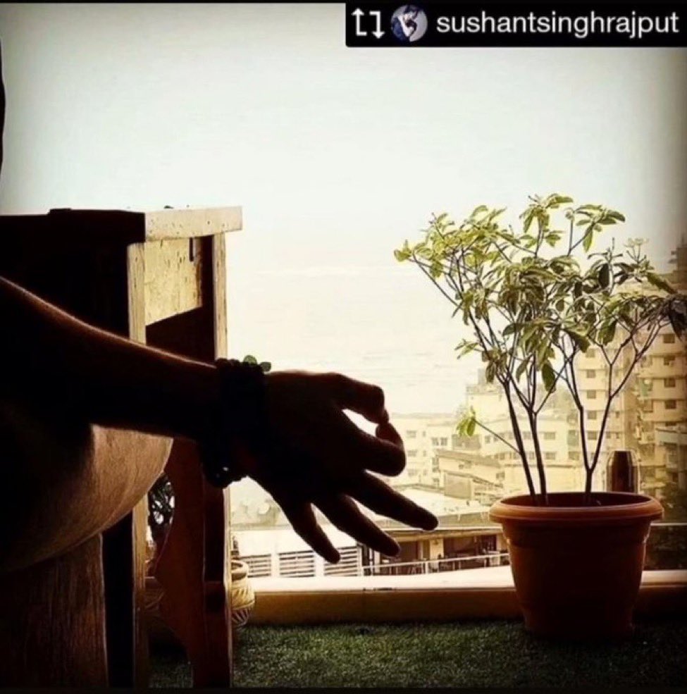 💥🧘💥Proud SSRian Forever💫@itsSSR Bhai❤MereJaan tweet media