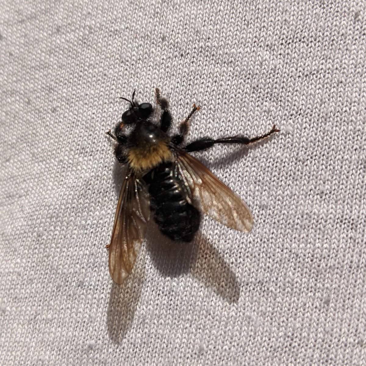 Alex Kempton 🦋 tweet media