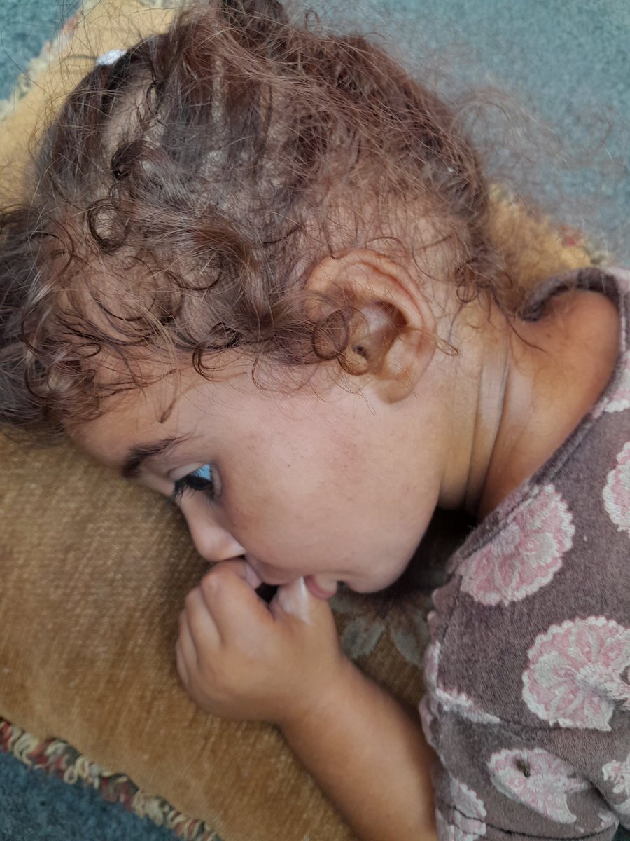 SARAMoh69489245's tweet image. 🙏🏻😰😭Dear friends, thank you for all your support. Maria is still not better. She is just exhausted and very sad. I want to hold her, but she'd just be even warmer 😿 I really hope I can buy a fan very soon with all your help. It will change Maria's life. Thank you all that you…