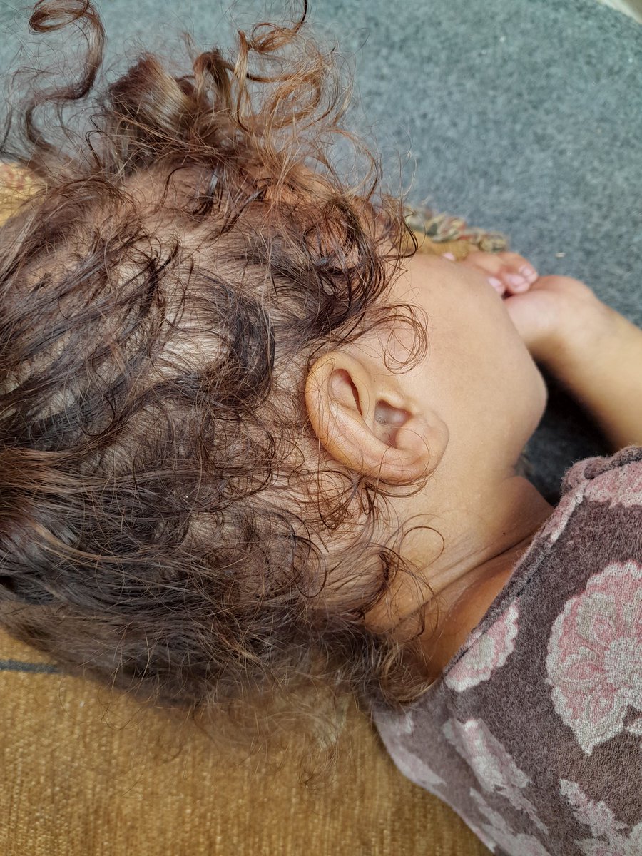 SARAMoh69489245's tweet image. 🙏🏻😰😭Dear friends, thank you for all your support. Maria is still not better. She is just exhausted and very sad. I want to hold her, but she'd just be even warmer 😿 I really hope I can buy a fan very soon with all your help. It will change Maria's life. Thank you all that you…