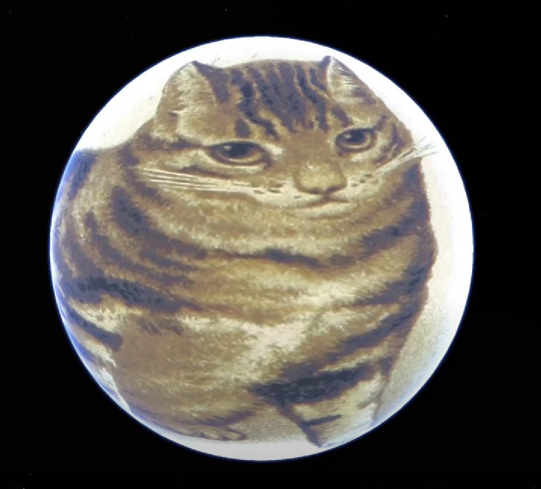 Sammy.Jpeg tweet media