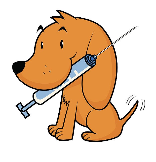 Keval_IM's tweet photo. This time its USA.
Person in the U.S. was billed $30,000 for four rabies shots, with insurance covering $24,000 and the individual paying $6,000 (5 lac INR) out of pocket.
In India same one can get entire treatment in $16 (1300 INR).
#healthcare #rebies #USElection #indiavssa #India
#bharat #dog